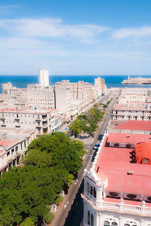 view down the Paseo de Marti in Havana to the sea, with trees growing stronger the deeper they are planted into the urbanism, protected from hurricane winds